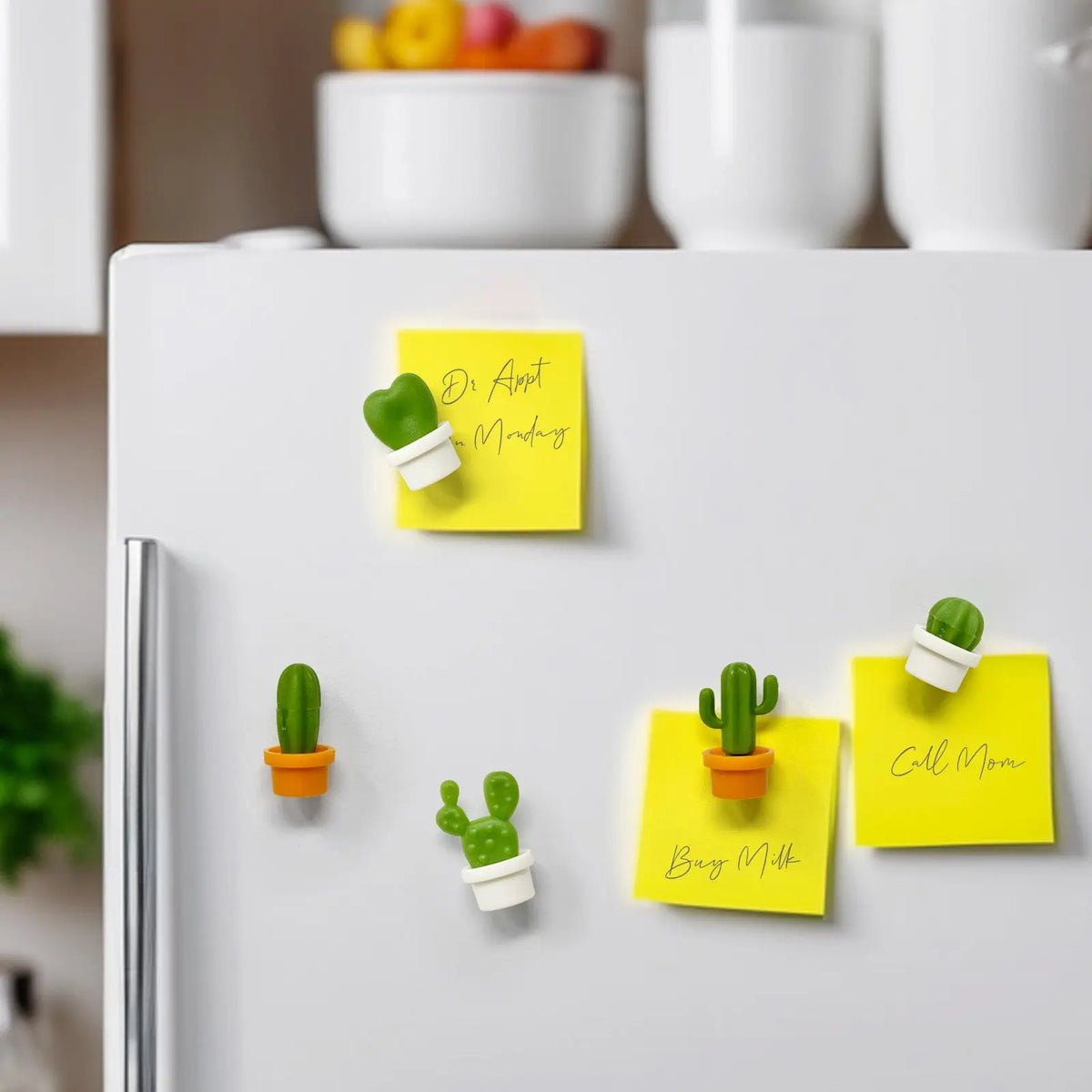 Wrapables Novelty Refrigerator Magnets for Kitchen, Whiteboards, Cabinets, and Lockers (Set of 12)
