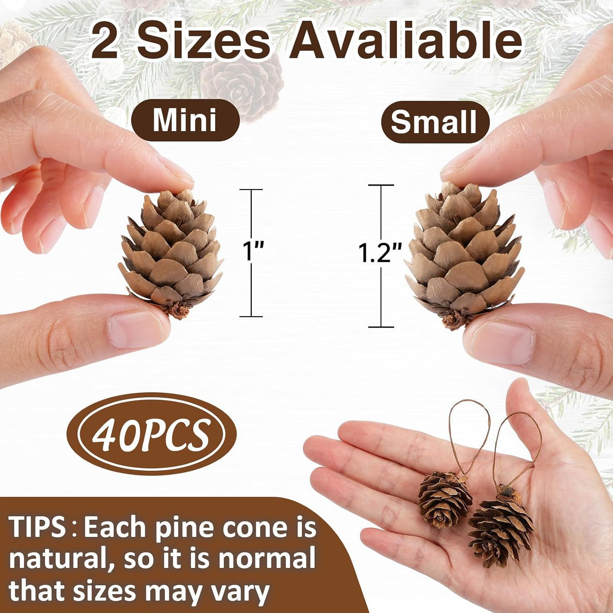 Apipi 1" Natural Mini Pine Cones Fall Decor Christmas Ornaments, 40 Pcs