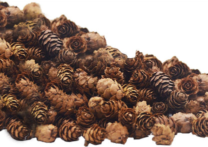 150 Pcs Christmas Natural Mini Pine Cones - Small Xmas Snow Pinecones Decor