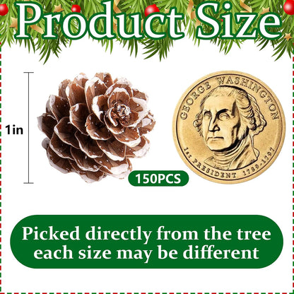 150 Pcs Christmas Natural Mini Pine Cones - Small Xmas Snow Pinecones Decor