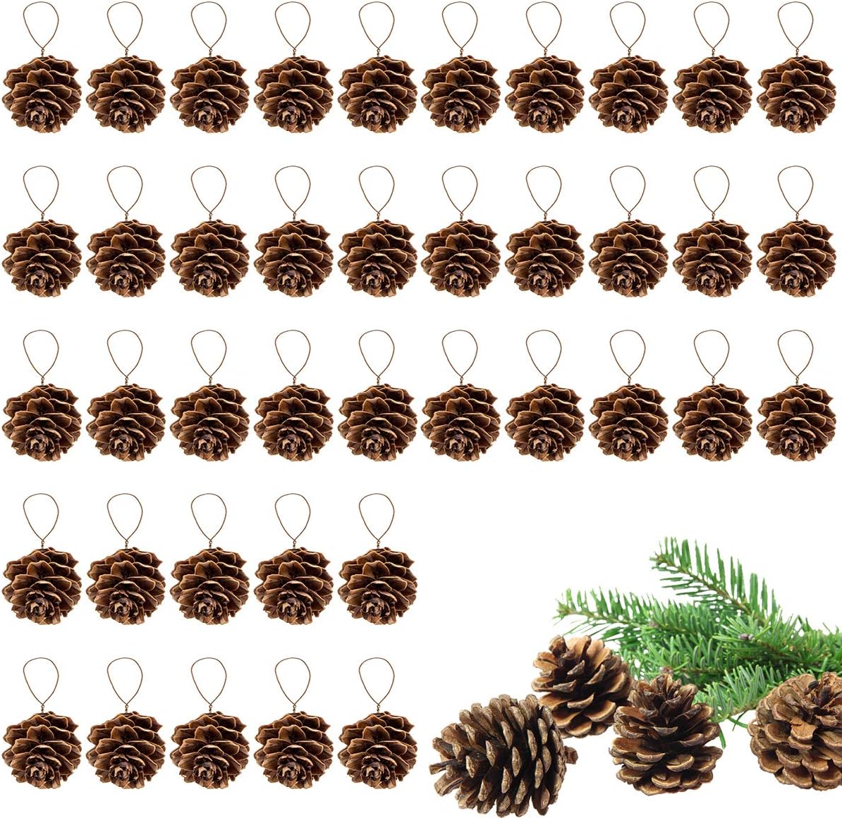 Apipi 1" Natural Mini Pine Cones Fall Decor Christmas Ornaments, 40 Pcs