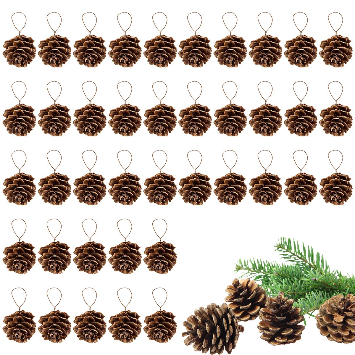 Apipi 1" Natural Mini Pine Cones Fall Decor Christmas Ornaments, 40 Pcs