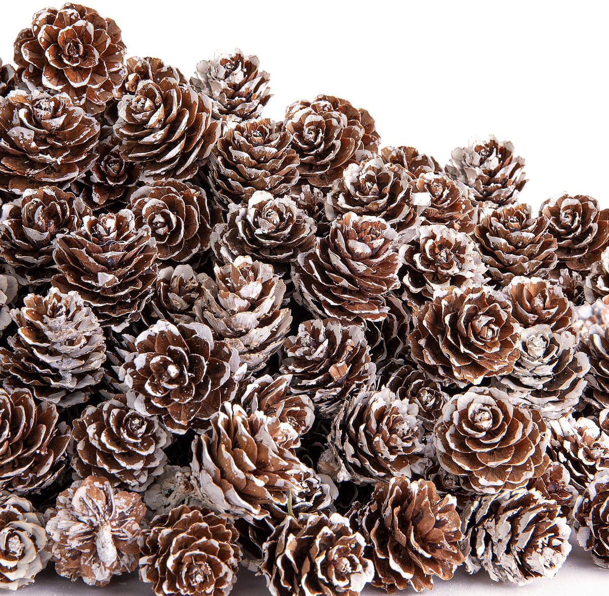 150 Pcs Christmas Natural Mini Pine Cones - Small Xmas Snow Pinecones Decor