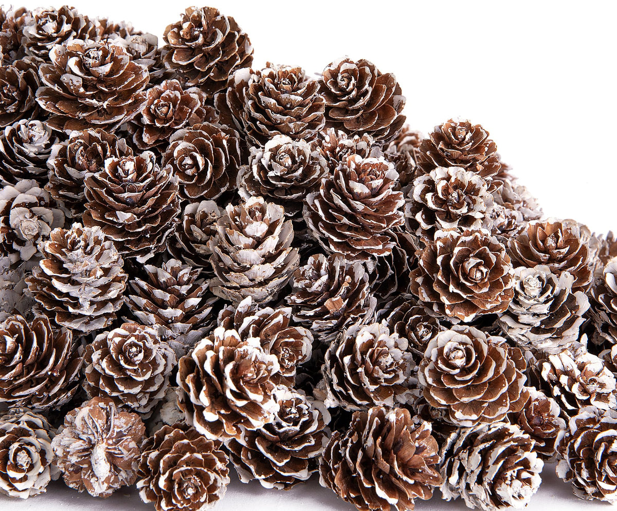 150 Pcs Christmas Natural Mini Pine Cones - Small Xmas Snow Pinecones Decor