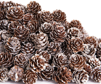 150 Pcs Christmas Natural Mini Pine Cones - Small Xmas Snow Pinecones Decor