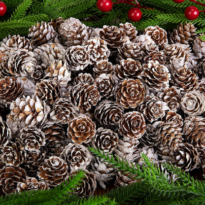 150 Pcs Christmas Natural Mini Pine Cones - Small Xmas Snow Pinecones Decor