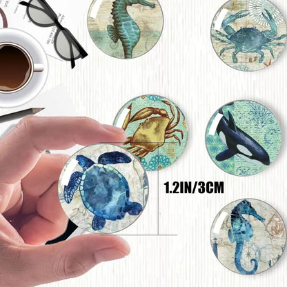 Strong Glass Refrigerator Stickers,12Pcs Magnets for Fridge,Funny Fridge Magnet Shape,Cute Small Tiny Magnet for Kitchen Whiteboard Door Decorative (Marine Animals Refrigerator Stickers)