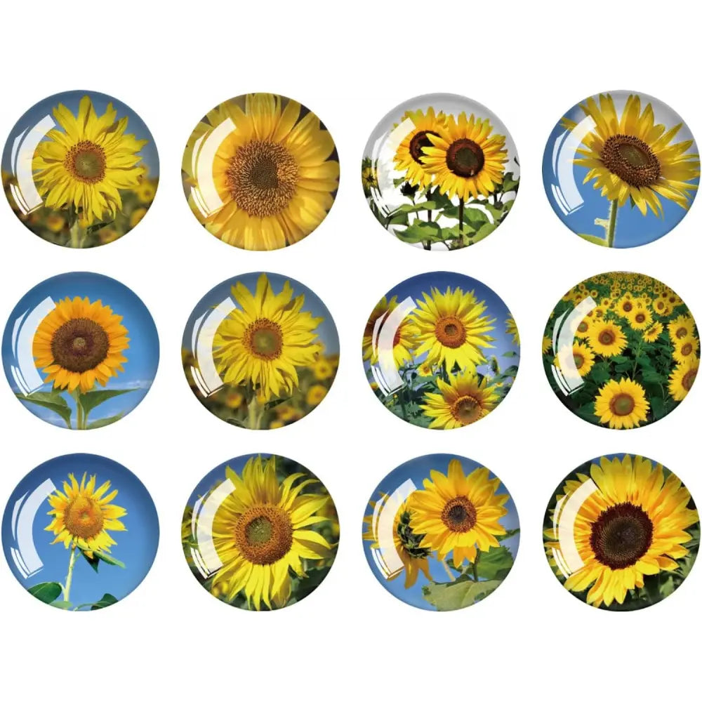 Strong Glass Refrigerator Stickers,12Pcs Magnets for Fridge,Funny Fridge Magnet Shape,Cute Small Tiny Magnet for Kitchen Whiteboard Door Decorative (Marine Animals Refrigerator Stickers)