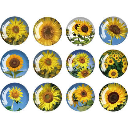 Strong Glass Refrigerator Stickers,12Pcs Magnets for Fridge,Funny Fridge Magnet Shape,Cute Small Tiny Magnet for Kitchen Whiteboard Door Decorative (Marine Animals Refrigerator Stickers)